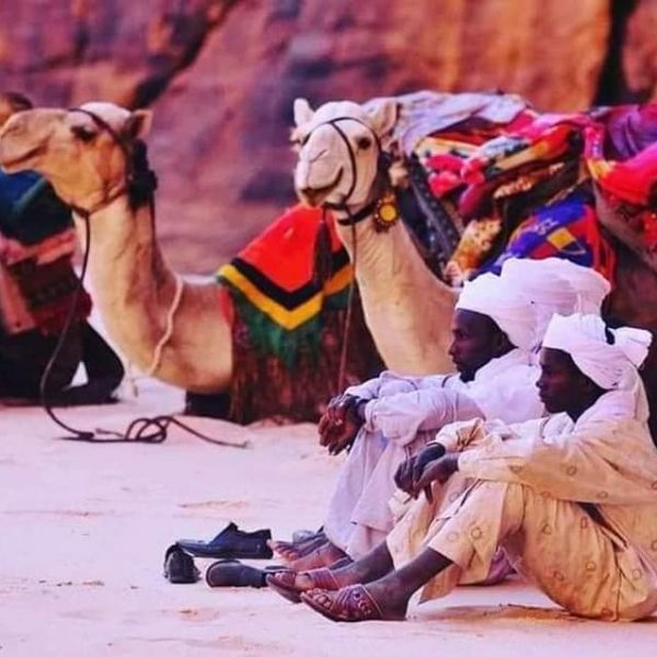 الإحتفال بيوم الثقافة التباوية ربيانة (12)