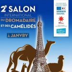 لملتقى الدولي الثاني لملاك الإبل حول العالم (1)