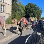 لملتقى الدولي الثاني لملاك الإبل حول العالم (10)