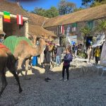 لملتقى الدولي الثاني لملاك الإبل حول العالم (8)