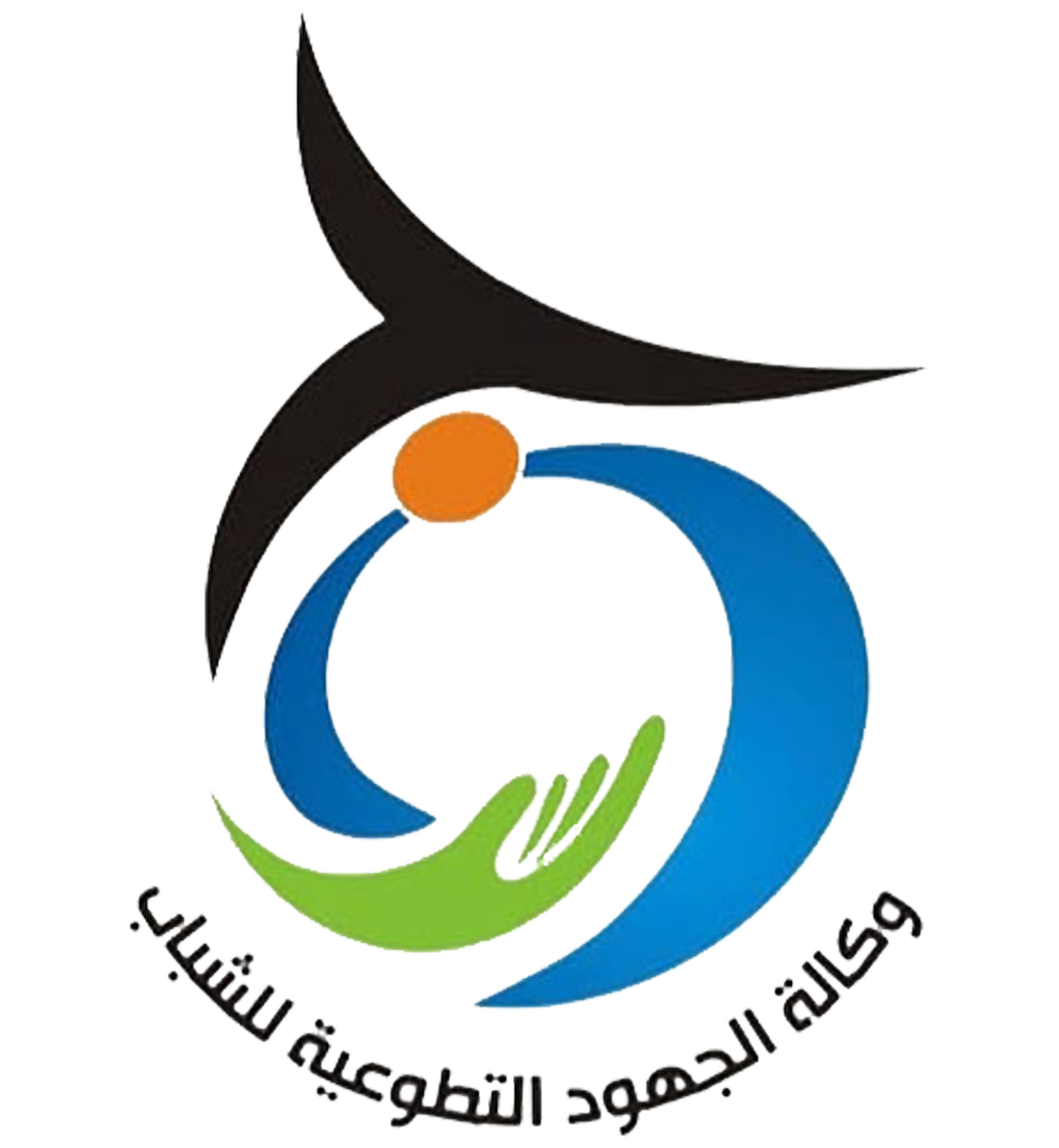 وكالة الجهود التطوعية للشباب