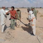 الجهود التطوعية فرع سوكنه (11)